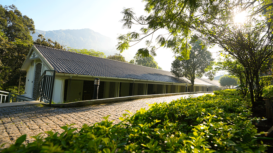 lemontfort resort images