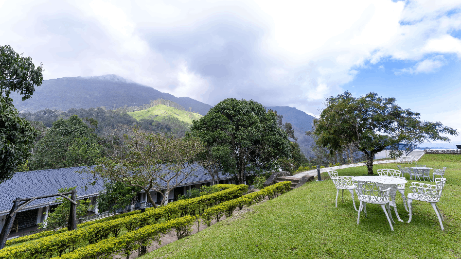 lemontfort resort images