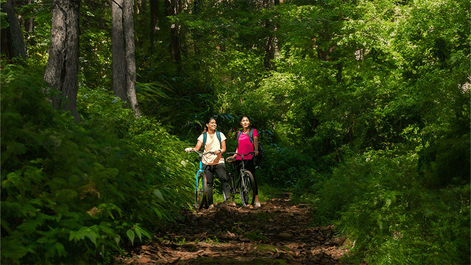 lemontfort resort images