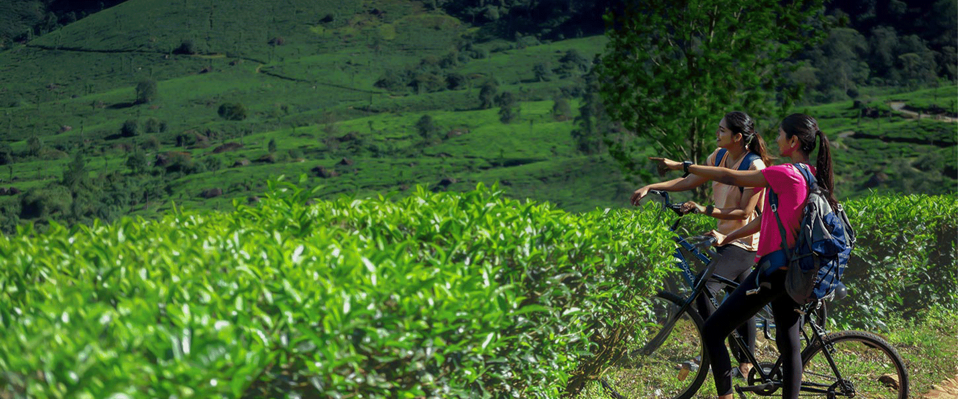 lemontfort resort images